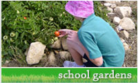 School Gardens